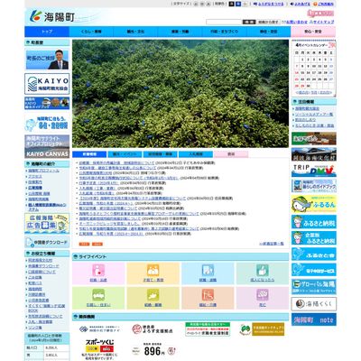 海陽町役場のHP画像